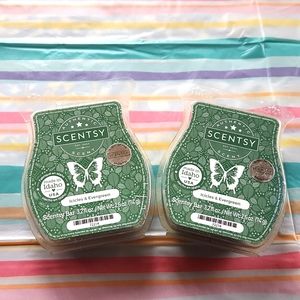 Scentsy wax melts